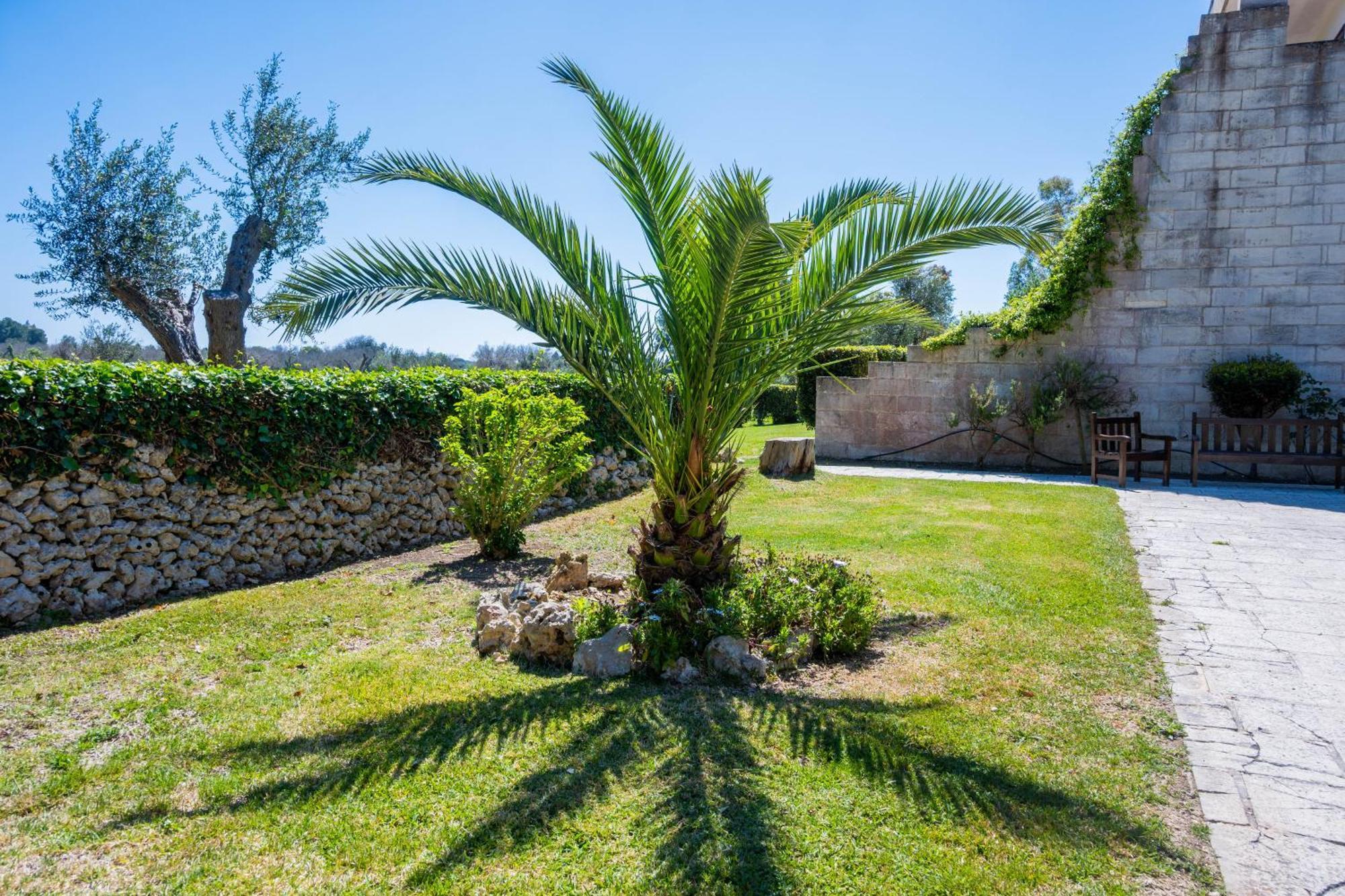 Agriturismo Masseria Del Bosco Makyva Borgagne Extérieur photo